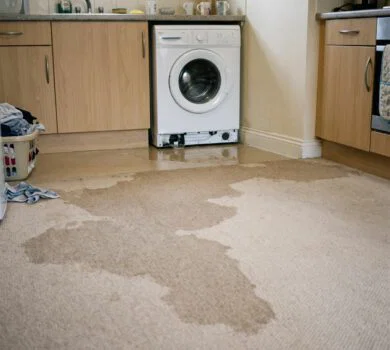 a light-coloured carpet in a modest apartment kitchen immediately after a washing machine leak